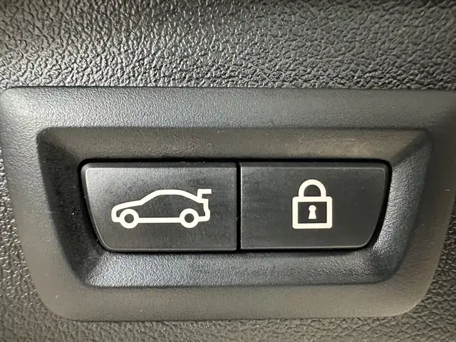 BMW X5 X5 view 7