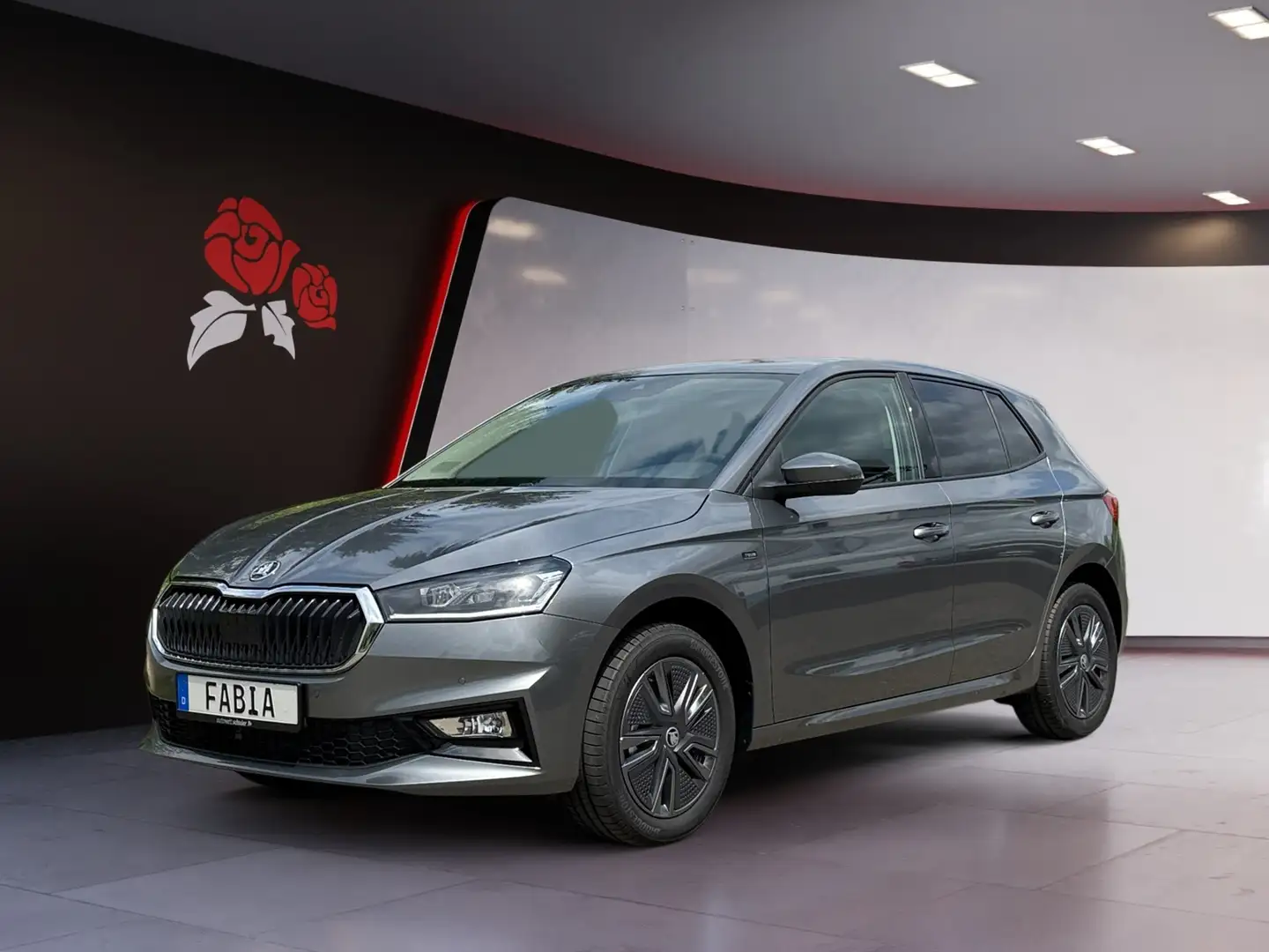 Skoda Fabia TOUR 1.0 TSI PDC LED WINTER-PLUS Grau - 2