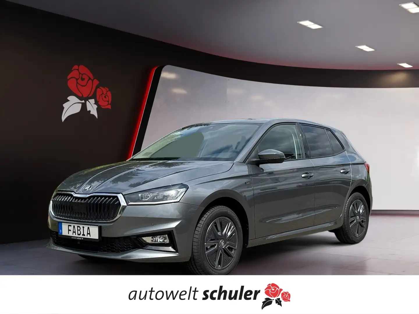 Skoda Fabia TOUR 1.0 TSI PDC LED WINTER-PLUS Grau - 1