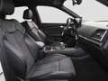 Audi SQ5 TDI quattro tiptronic MatrixLED/AHK/Pano/B&O Weiß - thumbnail 7