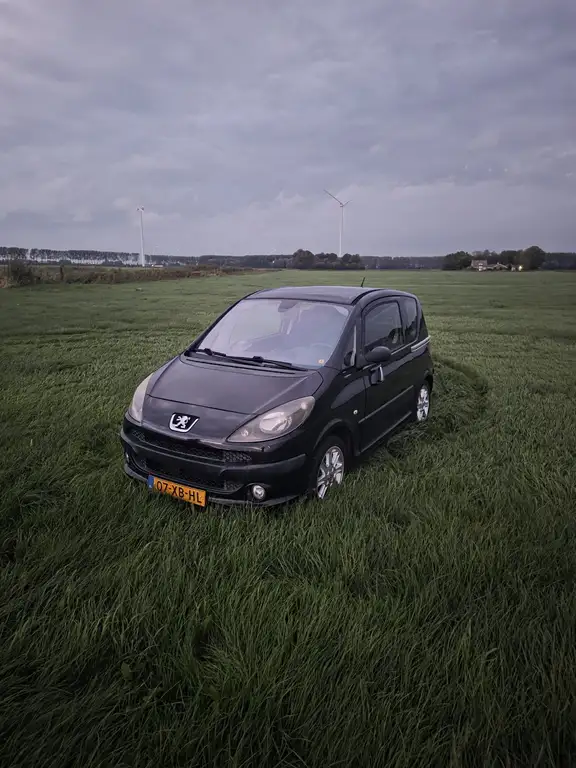 Peugeot 1007 2007 из Европы — купить под ключ