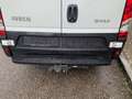 Iveco Daily Daily 35S18A8 Kasten RS3.520mm Weiß - thumbnail 3