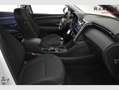 Hyundai TUCSON 1.6 CRDI Klass 4x2 Blanc - thumbnail 11