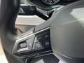 SEAT Ibiza 1.0 TSI 81kW (110CV) Style Plus Blanco - thumbnail 21