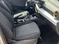 SEAT Ibiza 1.0 TSI 81kW (110CV) Style Plus Blanco - thumbnail 14