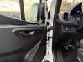 Mercedes-Benz Sprinter 317 CDI Kasten Maxi Klima+360°+Tempomat Weiß - thumbnail 6