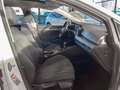 Volkswagen Golf VIII 1.5 TSI Style PDC LED Navi Pano Weiß - thumbnail 9