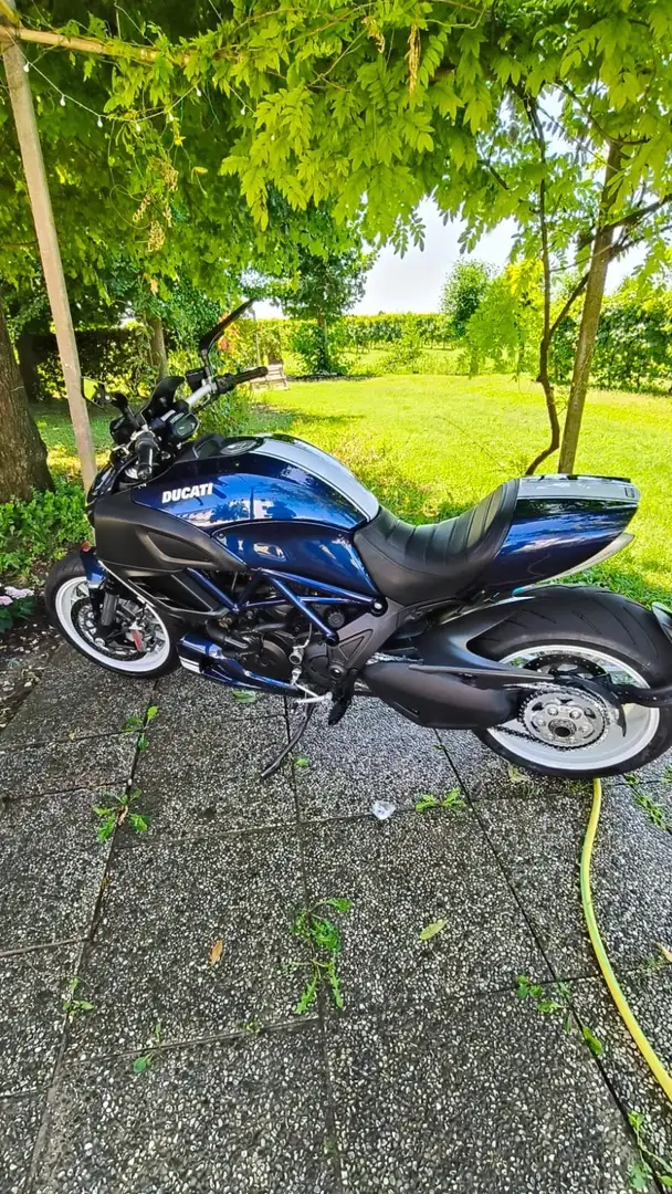 Ducati Diavel sport Blu/Azzurro - 1