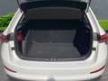 Skoda Scala Cool Plus 1.0 TSI LED Klimaanlage PDC SHZ Weiß - thumbnail 5