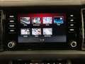 Skoda Kodiaq Sportline+DSG+4x4+360+AHK Gris - thumbnail 20