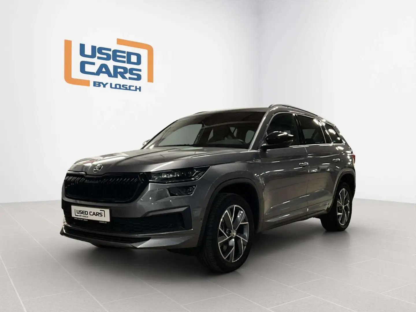 Skoda Kodiaq Sportline+DSG+4x4+360+AHK Gris - 1