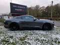 Ford Mustang GT automaat 5.0 V8 422pk // 1 eigenaar, onderhouds Grijs - thumbnail 8