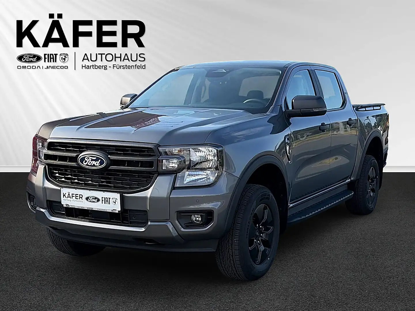 Ford Ranger Ranger Doppelkabine XLT e-4WD 2.3 EcoBoost 11.8... Grau - 1
