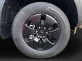 Ford Ranger Ranger Doppelkabine XLT e-4WD 2.3 EcoBoost 11.8... Grau - thumbnail 4