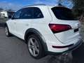 Audi Q5 2.0 TDI 140 kW quattro Wit - thumbnail 4