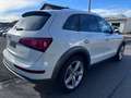 Audi Q5 2.0 TDI 140 kW quattro Wit - thumbnail 3