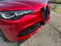 Alfa Romeo Giulia Veloce 2.0 280 AT8 Q4 Rot - thumbnail 13