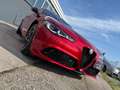 Alfa Romeo Giulia Veloce 2.0 280 AT8 Q4 Rot - thumbnail 14