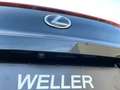 Lexus UX 250h F SPORT Design *Bi-LED*ACC*RCam*SHZ*PDC* Schwarz - thumbnail 26