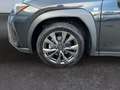 Lexus UX 250h F SPORT Design *Bi-LED*ACC*RCam*SHZ*PDC* Schwarz - thumbnail 19