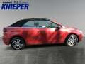 Volkswagen Golf Cabriolet 1.2 TSI KLIMA Rot - thumbnail 6