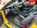 Ford Mustang Mustang 5,0 Ti-VCT V8 GT Cabrio Aut. GT Gelb - thumbnail 18