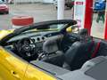 Ford Mustang Mustang 5,0 Ti-VCT V8 GT Cabrio Aut. GT Gelb - thumbnail 4