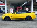 Ford Mustang Mustang 5,0 Ti-VCT V8 GT Cabrio Aut. GT Jaune - thumbnail 10