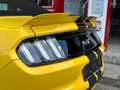 Ford Mustang Mustang 5,0 Ti-VCT V8 GT Cabrio Aut. GT Jaune - thumbnail 15