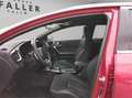 Kia ProCeed / pro_cee'd pro ceed 1,5 TGDI 48V GPF GT-Line DCT Rot - thumbnail 7