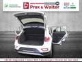 Volkswagen T-Roc 1.5 TSI OPF Life LED+NAVI+WINTER-PAKET Blanc - thumbnail 21