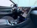 Hyundai TUCSON 1.6 CRDI 48V DCT Exellence Blu/Azzurro - thumbnail 14