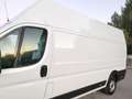 Fiat Ducato Furgón Maxi 35 Extra Larg Alto 2.3 109kW Blanc - thumbnail 18