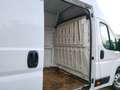 Fiat Ducato Furgón Maxi 35 Extra Larg Alto 2.3 109kW Blanc - thumbnail 28