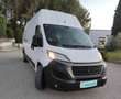 Fiat Ducato Furgón Maxi 35 Extra Larg Alto 2.3 109kW Blanc - thumbnail 21