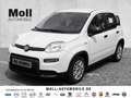 Fiat Panda Mild Hybrid - Tech Paket - Gelato Weiß Biały - thumbnail 1