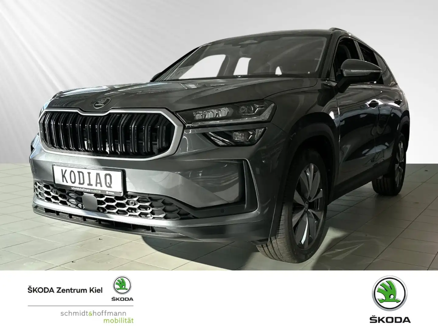 Skoda Kodiaq 2.0 TDI 110 kW Selection Klima Rückfahrkamera Grau - 1
