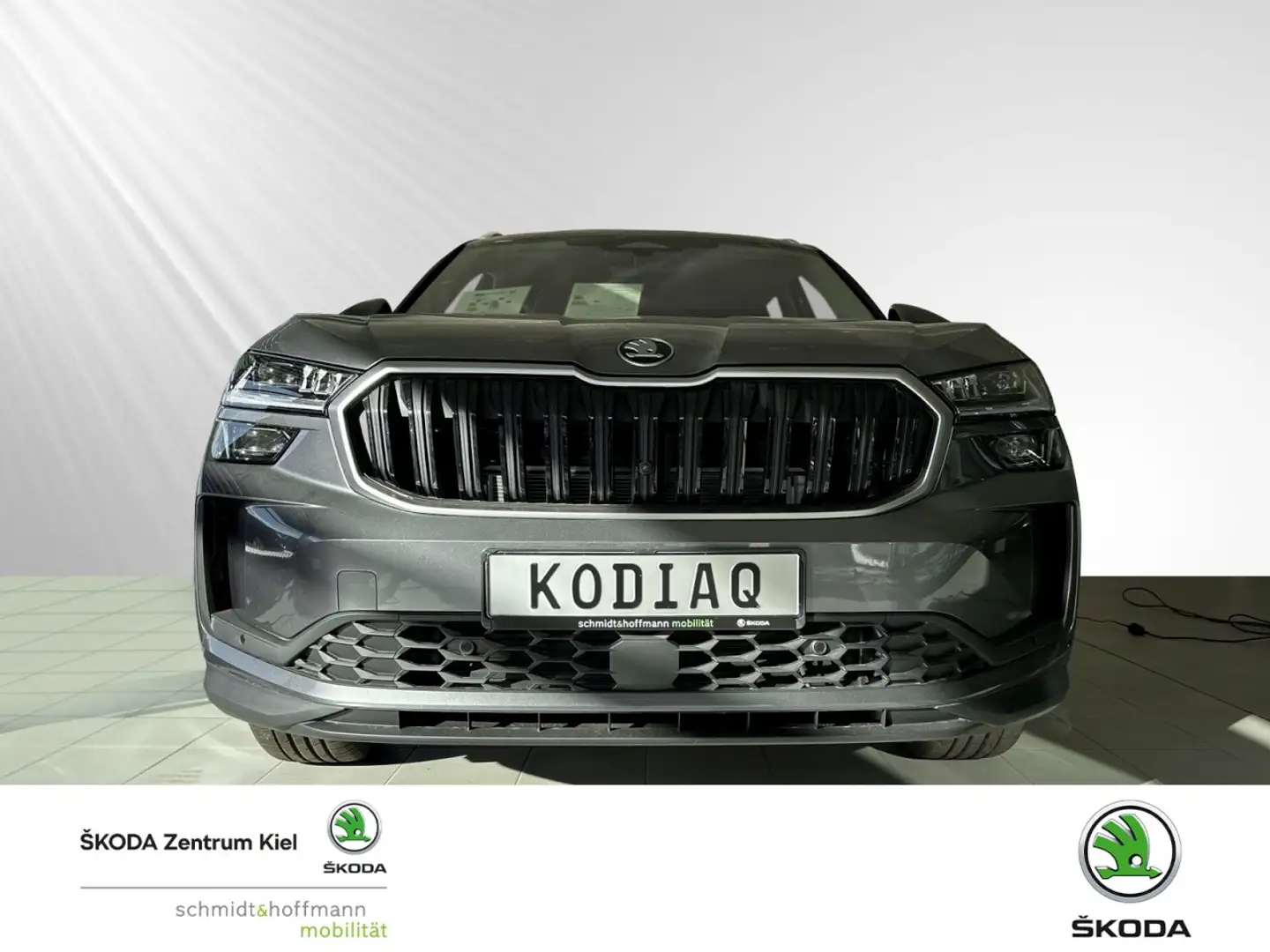 Skoda Kodiaq 2.0 TDI 110 kW Selection Klima Rückfahrkamera Grau - 2