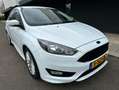 Ford Focus 1.5 Titanium X Edition ST line Wit - thumbnail 1