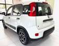 Fiat Panda Panda III 2021 1.0 firefly hybrid City Life s Blanco - thumbnail 4