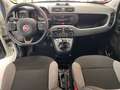 Fiat Panda Panda III 2021 1.0 firefly hybrid City Life s Blanco - thumbnail 7
