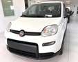 Fiat Panda Panda III 2021 1.0 firefly hybrid City Life s Blanco - thumbnail 1