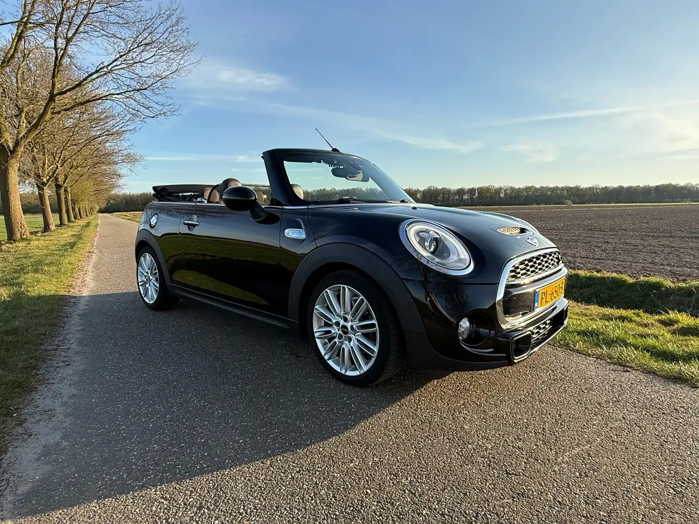 MINI Cooper S 2.0 Cabrio Chili Serious Business Zwart - 1