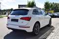 Audi Q5 2,0 TDI quattro Sport S-tronic *S-Line* Bianco - thumbnail 3
