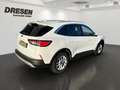 Ford Kuga 1.5 EcoBlue Titanium S Allwetter/AHK/Sitzheizung/ Blanc - thumbnail 4