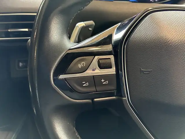 Peugeot 3008 view 13