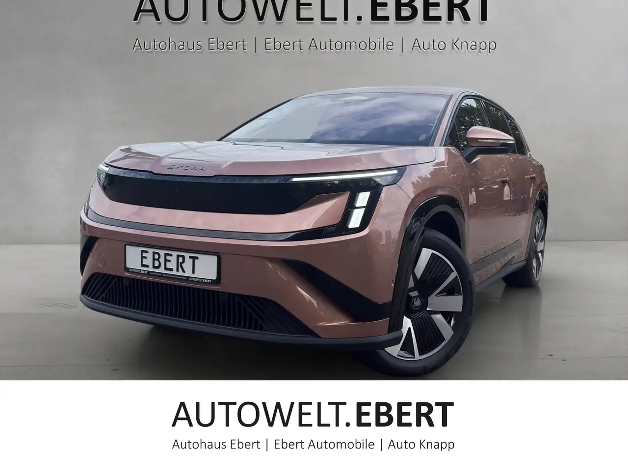 Skoda Peaq