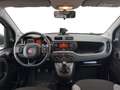 Fiat Panda III Van 2021 van 1.0 hybrid Pop 70cv 2p.ti Bianco - thumbnail 10