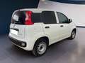 Fiat Panda III Van 2021 van 1.0 hybrid Pop 70cv 2p.ti Bianco - thumbnail 4