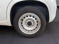 Fiat Panda III Van 2021 van 1.0 hybrid Pop 70cv 2p.ti Bianco - thumbnail 8